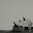 recent photos